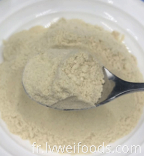 Poudre d'ail déshydratée Dehydrated Garlic Powder